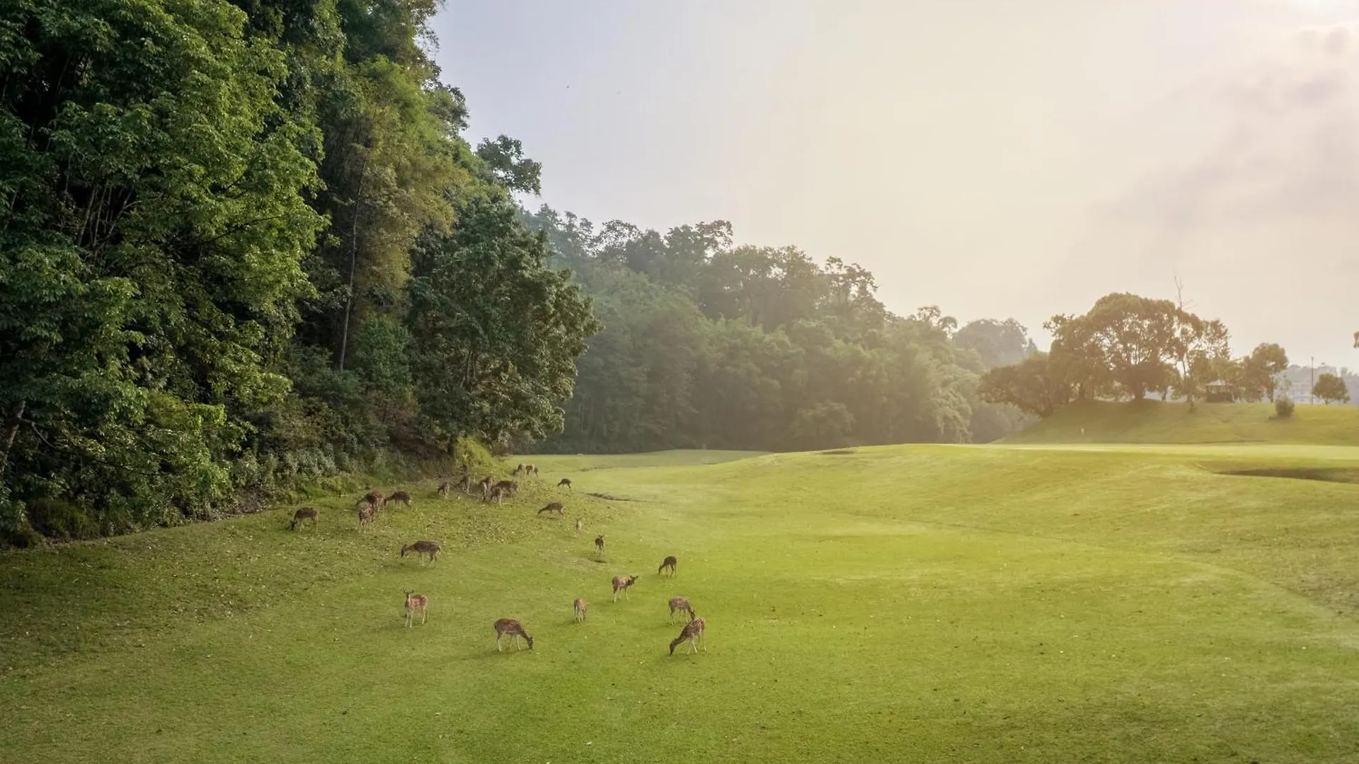 Gokarna Forest Resort Kathmandu