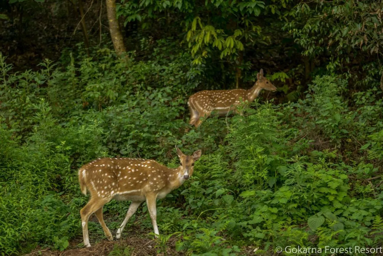 Gokarna Forest Resort Kathmandu