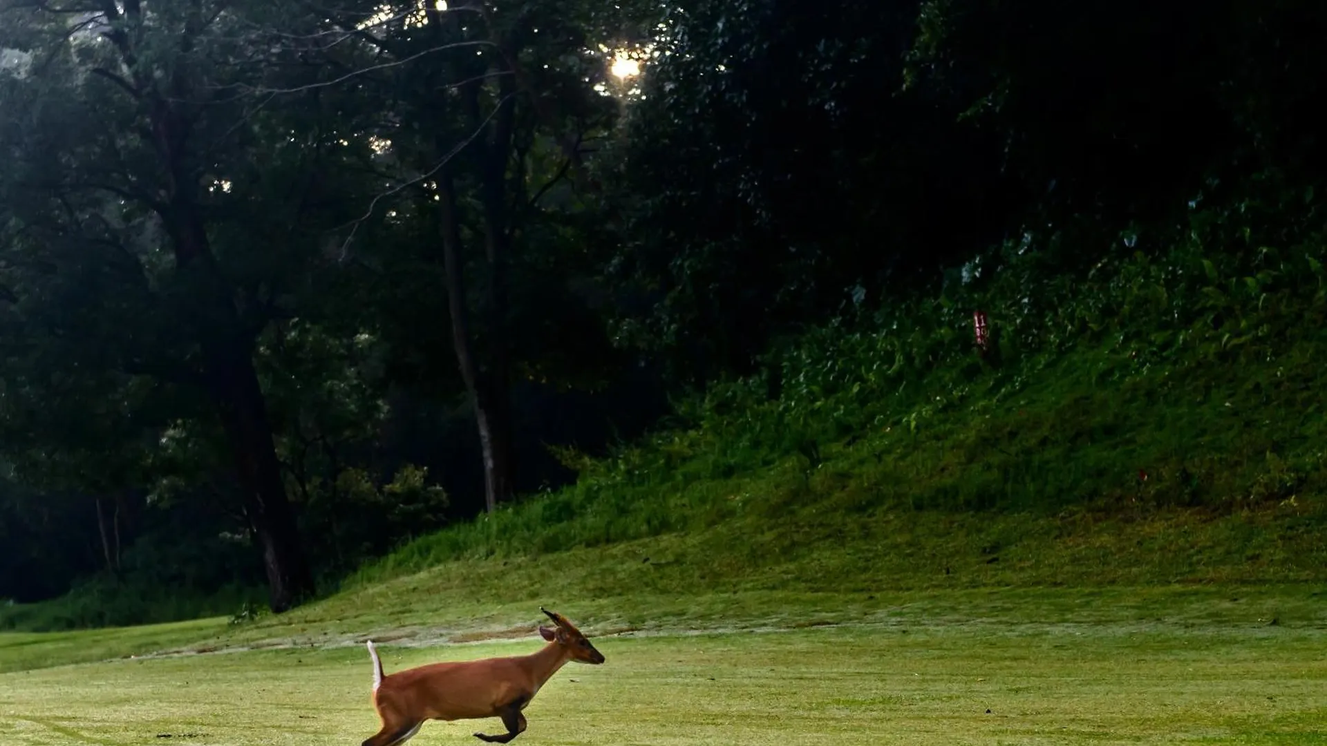 Gokarna Forest Resort Kathmandu