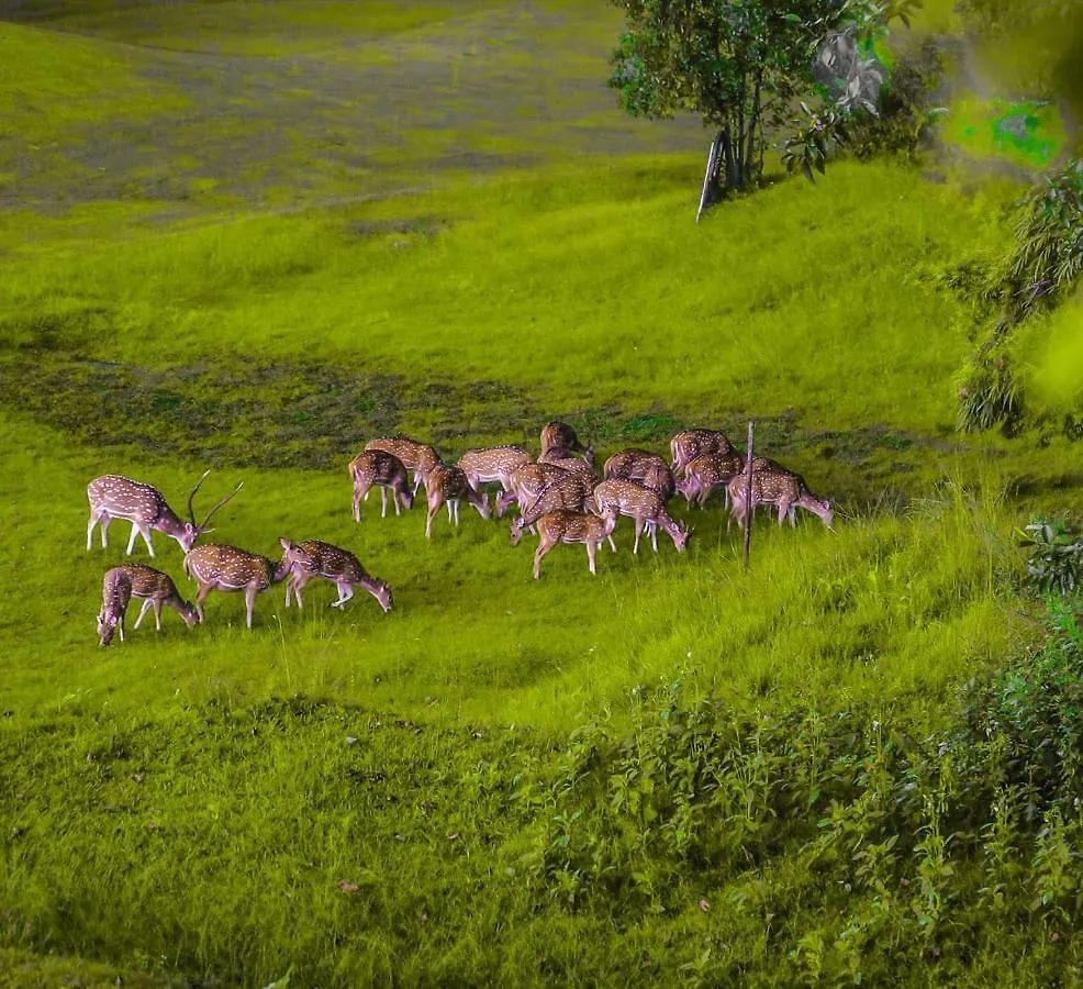 Gokarna Forest Resort Kathmandu